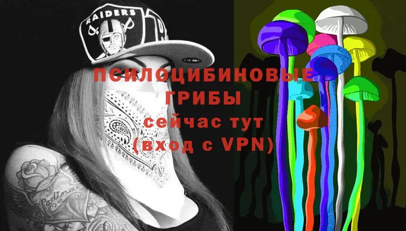 Псилоцибиновые грибы Cubensis  Приволжск 